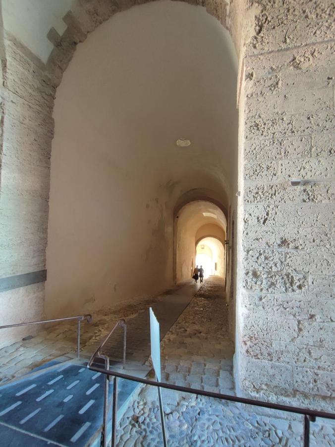 Appartamento Petit Cocon A Mourepiane *